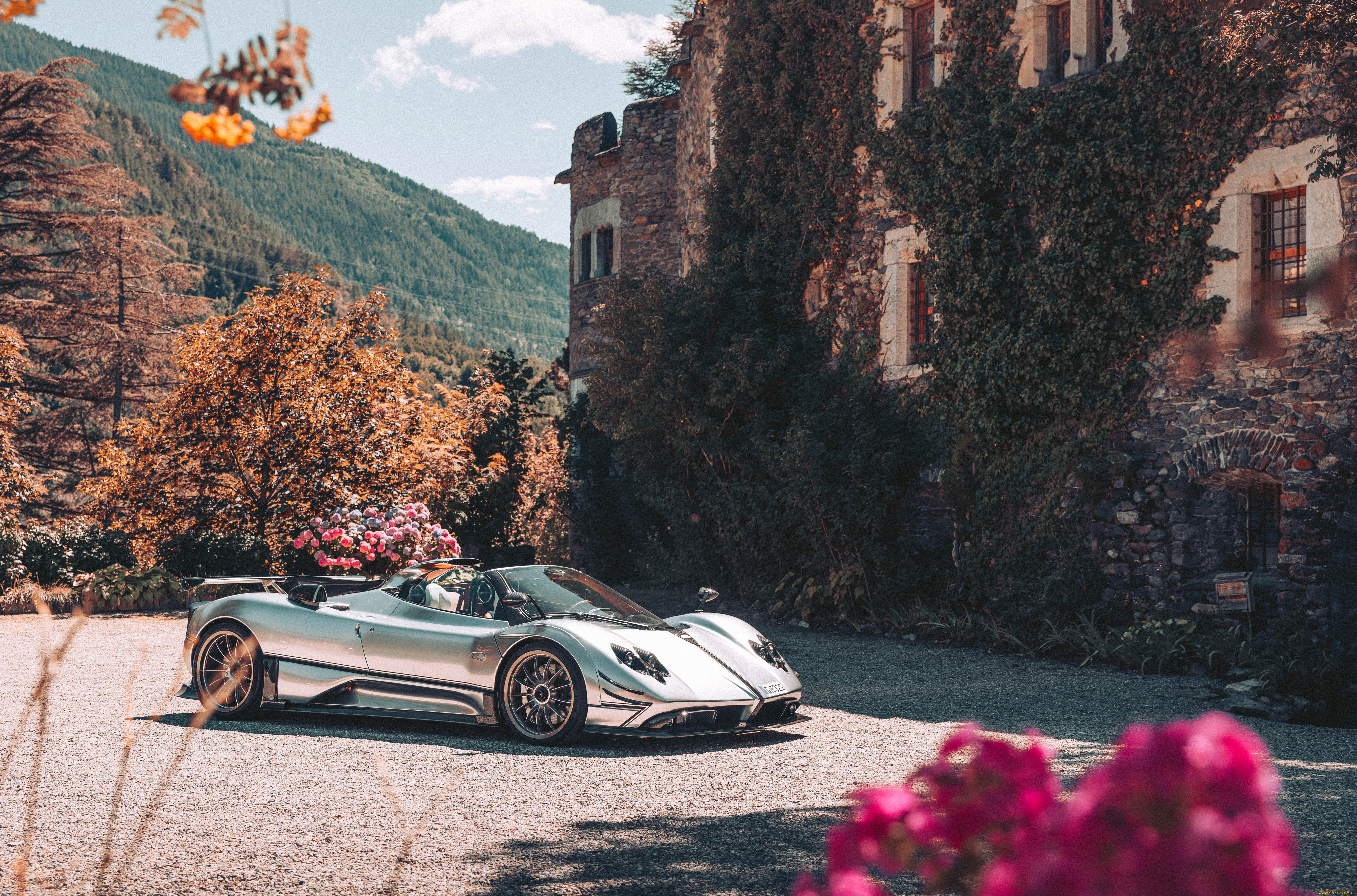 , pagani